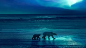 Frozen Planet II