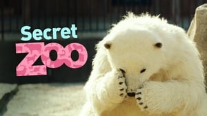 Secret Zoo