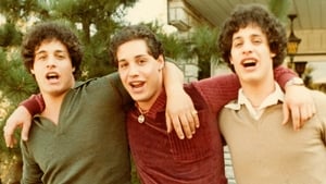 Three Identical Strangers