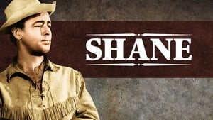 Shane