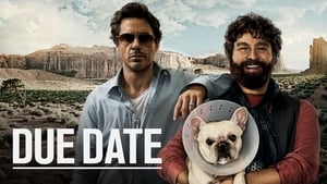 Due Date