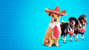 Beverly Hills Chihuahua 3: Viva la Fiesta!