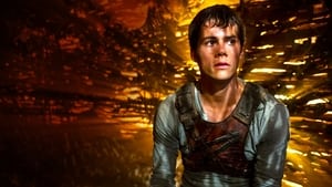 The Maze Runner