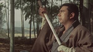 New Tale of Zatoichi