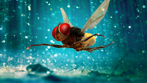 Eega