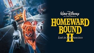 Homeward Bound II: Lost in San Francisco