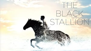 The Black Stallion