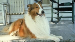 Lassie