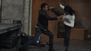 The Raid 2