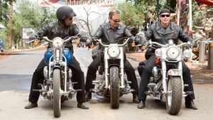 Wild Hogs