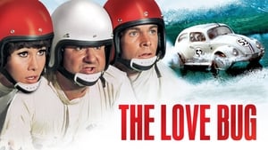 The Love Bug