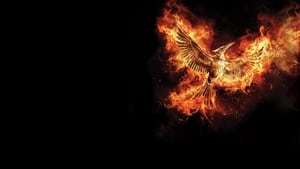 The Hunger Games: Mockingjay - Part 2