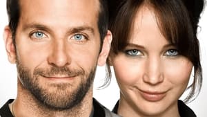 Silver Linings Playbook