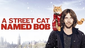 A Street Cat Named Bob