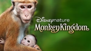 Monkey Kingdom