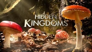 Hidden Kingdoms