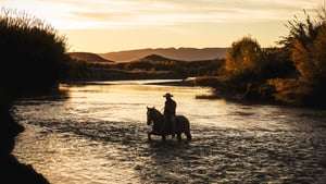 The River and the Wall