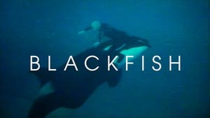 Blackfish