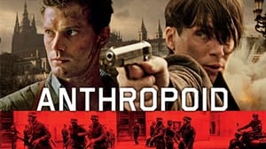 Anthropoid