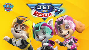 PAW Patrol: Jet to the Rescue