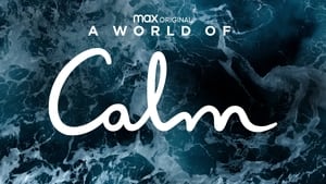 A World of Calm