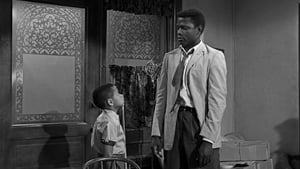 A Raisin in the Sun