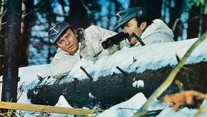 Where Eagles Dare