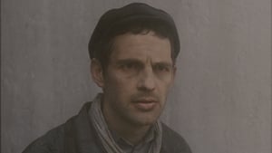 Son of Saul