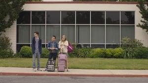 Miss Stevens