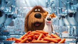 The Secret Life of Pets