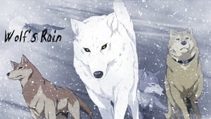 Wolf's Rain