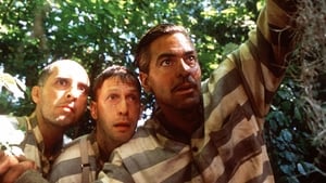 O Brother, Where Art Thou?