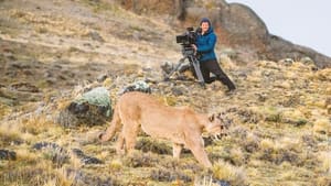 Animals Up Close with Bertie Gregory