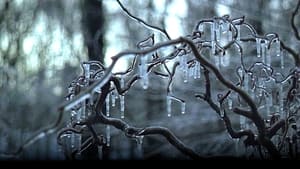 The Ice Storm