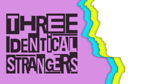 Three Identical Strangers