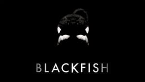 Blackfish