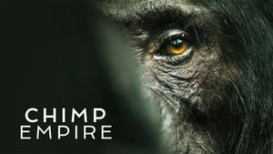 Chimp Empire