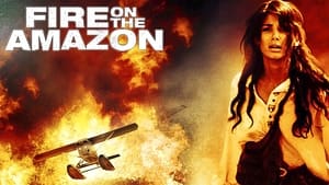 Fire on the Amazon