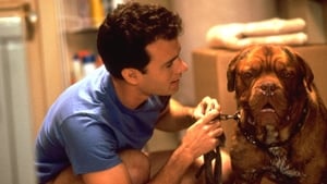 Turner & Hooch