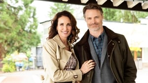 Cedar Cove