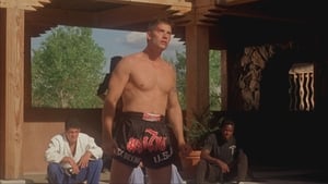 Kickboxer 4: The Aggressor