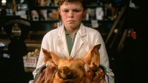 The Butcher Boy