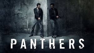 The Last Panthers