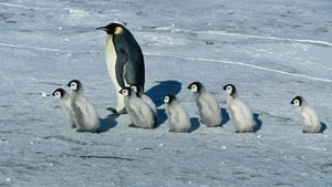 March of the Penguins