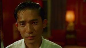 In the Mood for Love