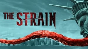 The Strain