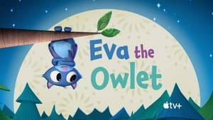 Eva the Owlet