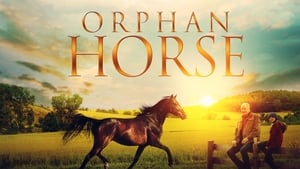 Orphan Horse