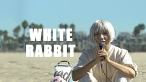 White Rabbit