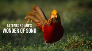 Attenborough's Wonder of Song